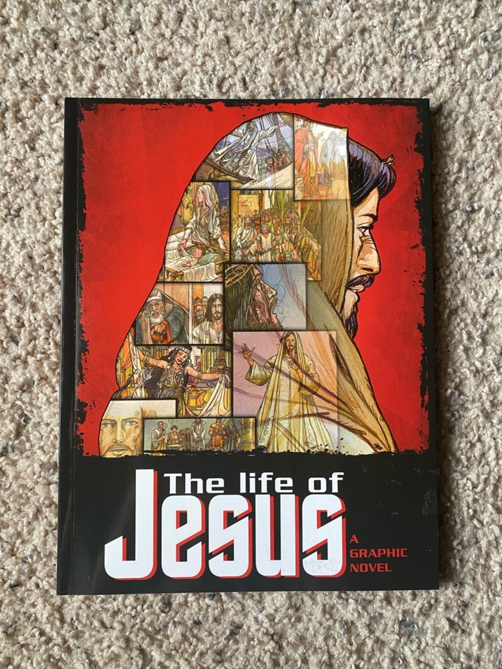 The Life of Jesus Graphic Novel Book (NWOT)